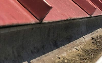Why are Gutter Cleanings Necessary