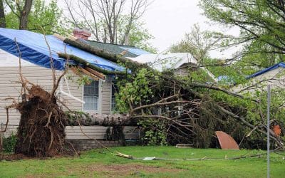 What to Do if a Storm Damages Your Roof in Northern Virginia